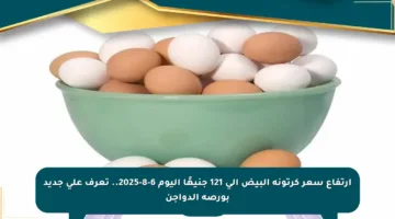 ارتفاع سعر كرتونة البيض إلى 121 جنيهًا اليوم 6-8-2025.. تعرف على جديد بورصة الدواجن